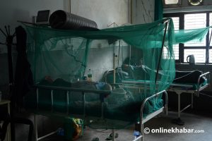 Dengue in Nepal: What is causing the outbreak now? What does it take for control?