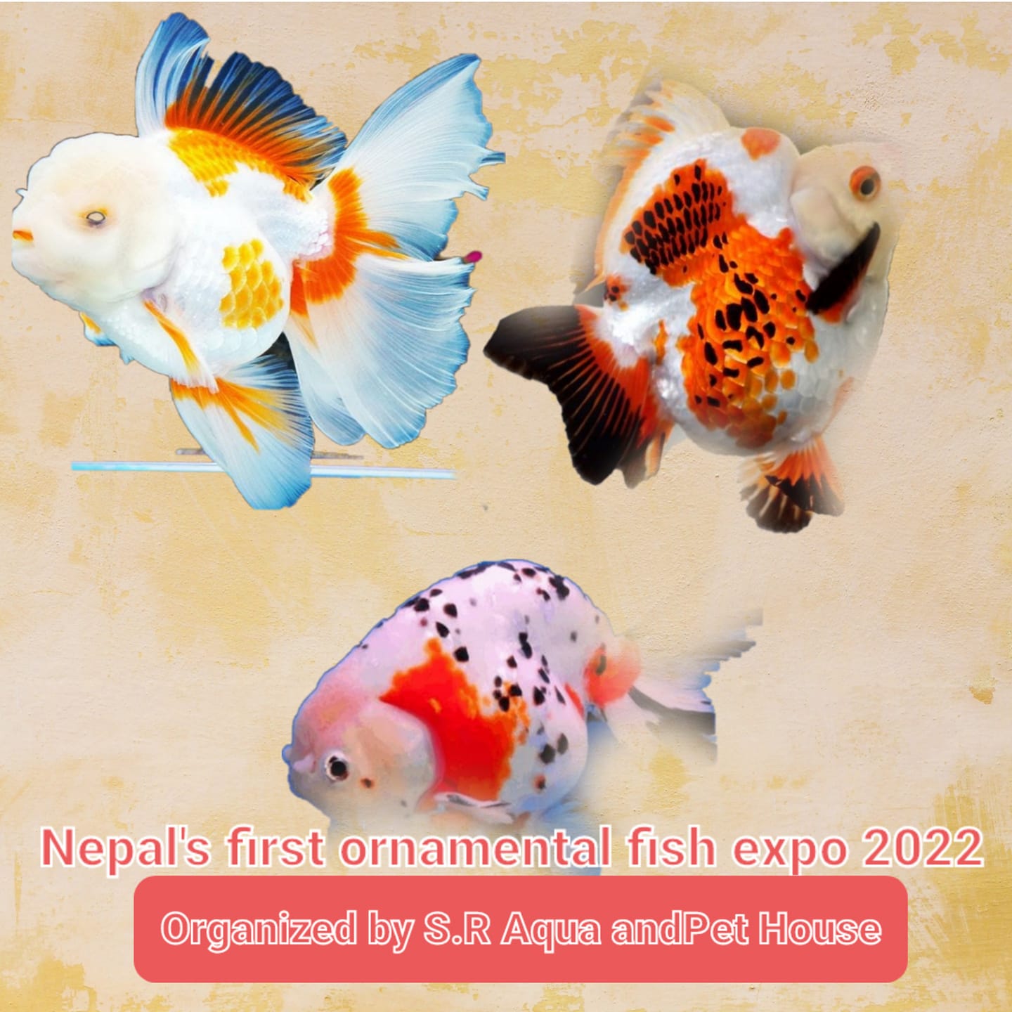 7 most interesting things to do this weekend in Kathmandu