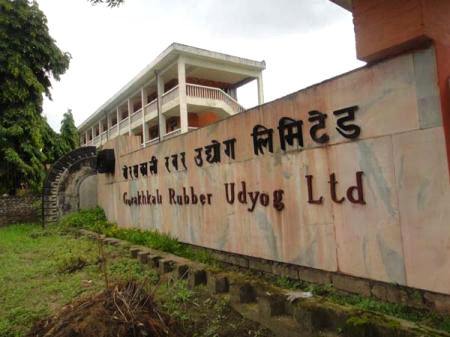 Gorakhkali-rubber industry -- Government factory