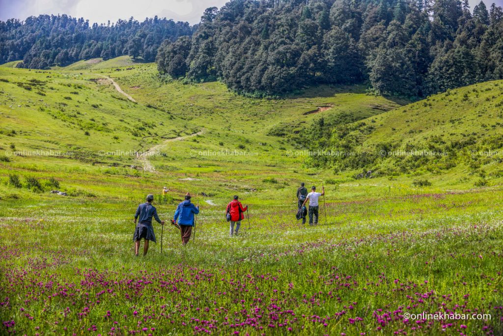 Khaptad National Park in a monsoon