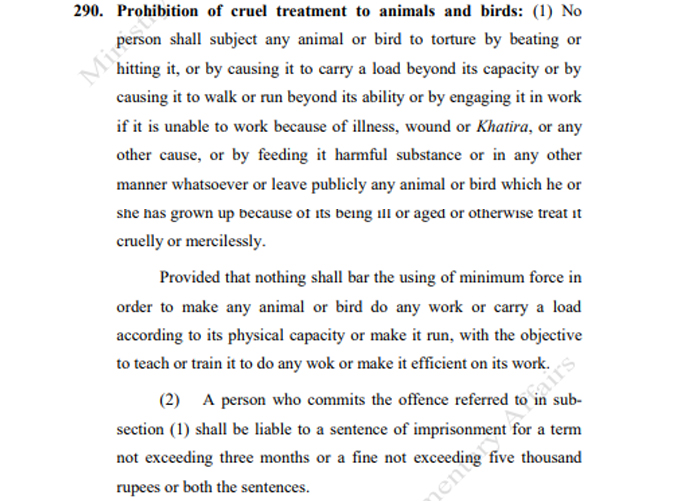 criminal code act section 290 against reporting animal abuse