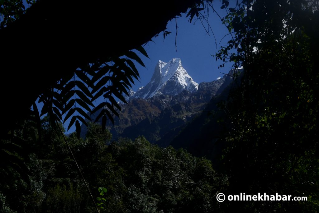 Annapurna Base camp