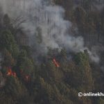 Embracing controlled burning for sustainable forest management 