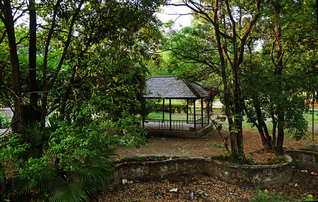 The Bhrikutimandap Park in Kathmandu in one of the few safe havens for Kathmandu's urban biodiversity. 