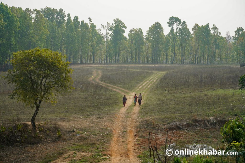 Forest People Wildlife