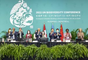 UN adopts the new Global Biodiversity Framework. What does this mean for Nepal?