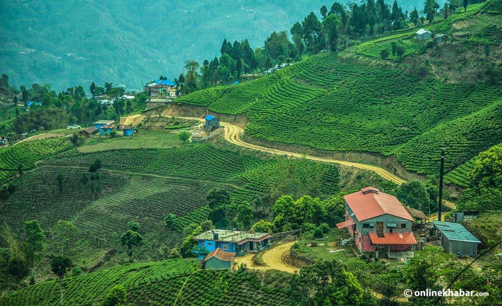 Tea Tourism