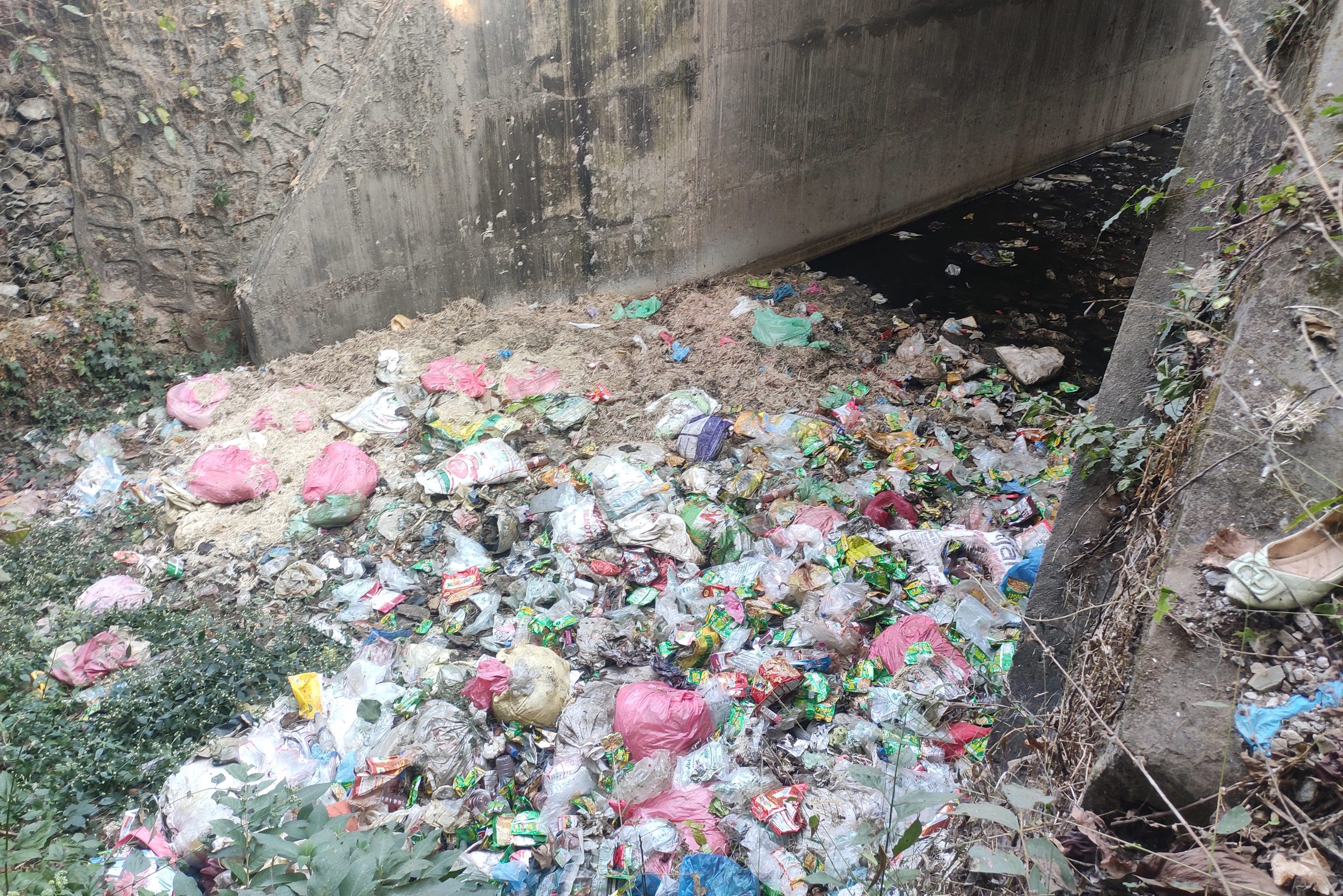 wildlife-friendly infrastructure wildlife underpass waste dump waste management chitwan