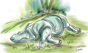 Dead rhino found in Chitwan
