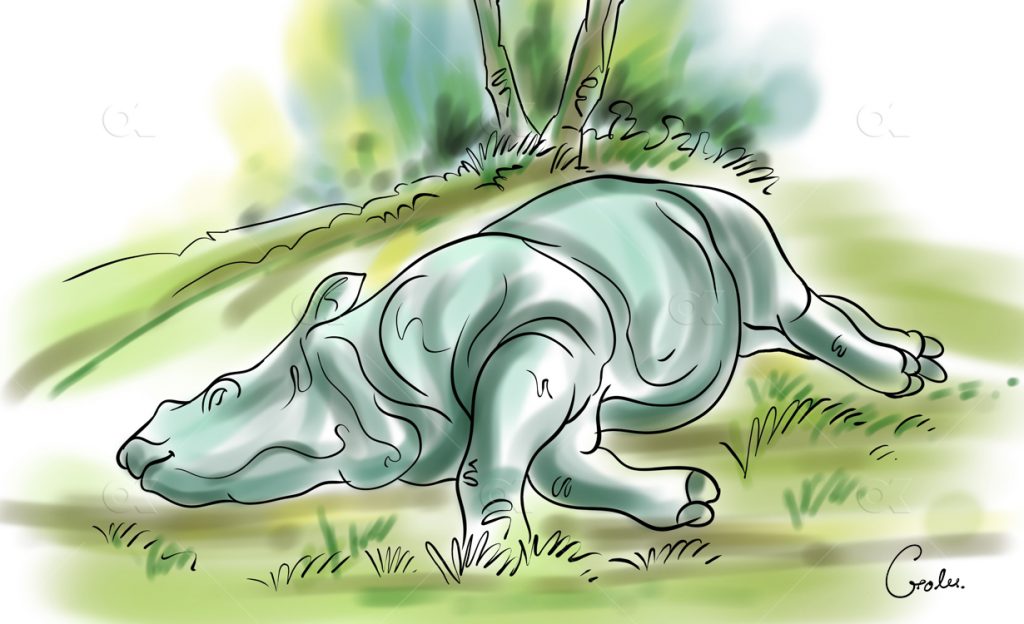 Sketch for representation only: A dead rhinoceros rhino calves