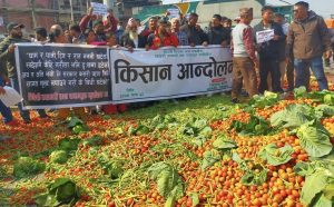 Nepal vegetable market: Amid imports dominating, local farmers sell the yields for peanuts