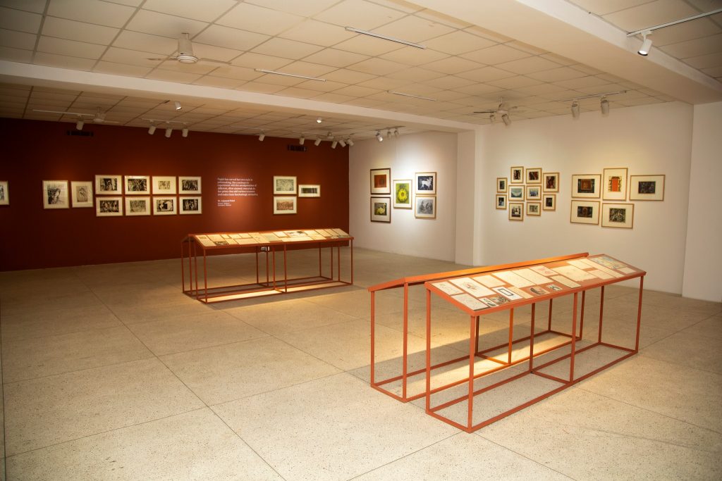 The display of artworks in the exhibition Ragini Upadhyay: A retrospective of an artist (1978-2023) at Nepal Art Council, Babermahal. Photo: Siddhartha Art Gallery