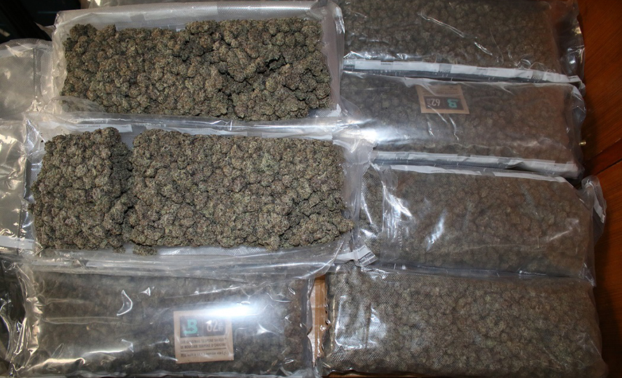 Marijuana confiscated from parcels received at a post office in Kathmandu, in March 2023. marijuana smuggling post office