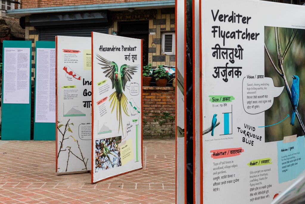 Display of information about birds in Kathmandu at a Photo Kathmandu exhibition in Patan. Photo: Photo Kathmandu