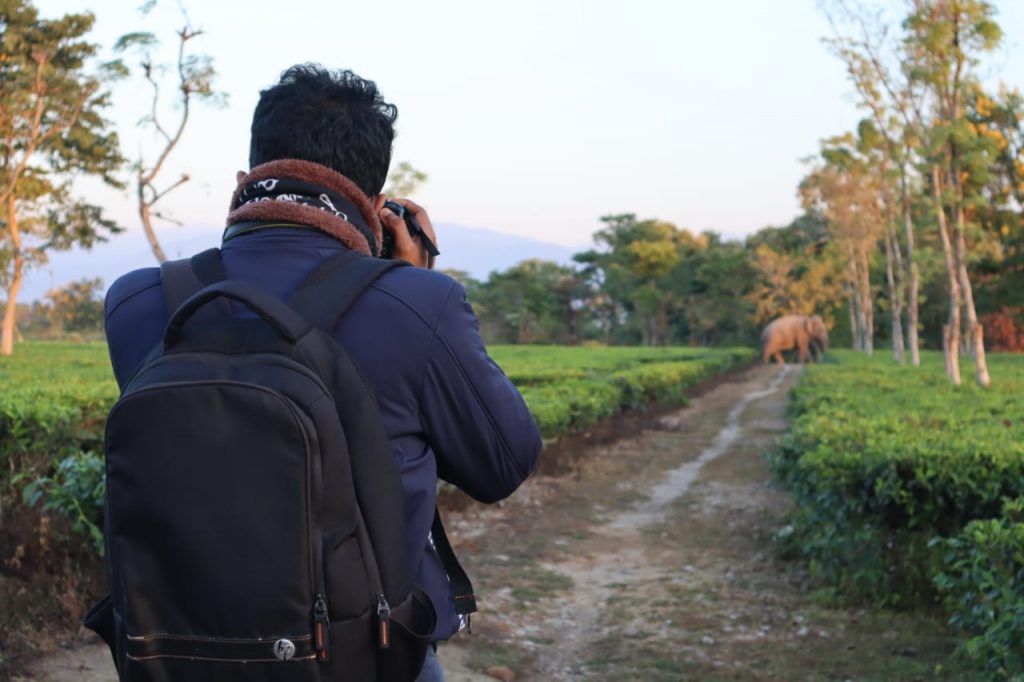 Ritwik Biswas, a member of a volunteer group working to prevent human-elephant conflict on both sides of the Nepal-India border, photographs a wild elephant passing through a tea estate (Image courtesy of Ritwik Biswas) Nepal-India cross-border grassroots cooperation to tackle human-wildlife conflict