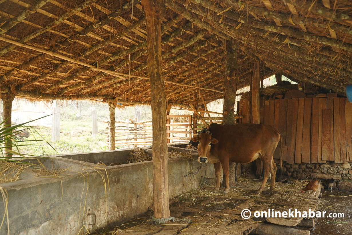 Narayan Wagle Nepal's famed journalistwriter is farmer now