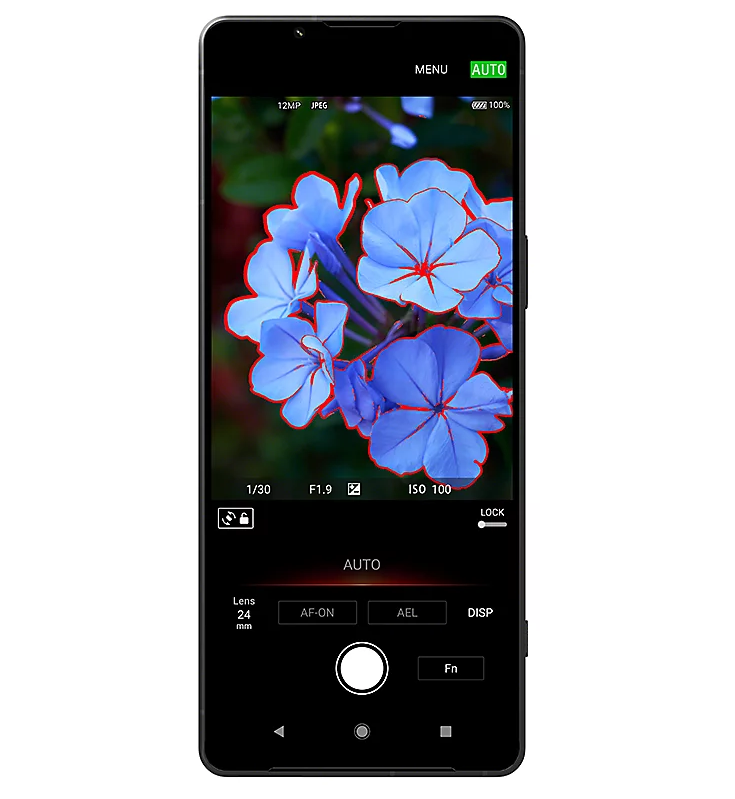 Camera app on the Sony Experia 1 V. Photo: Sony