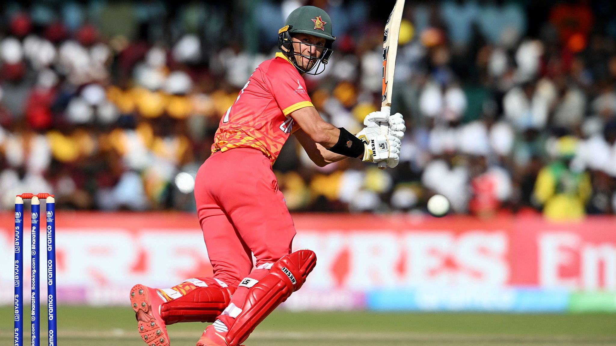ICC Cricket World Cup Qualifier: Zimbabwe comprehensively beat Nepal by 8 wickets