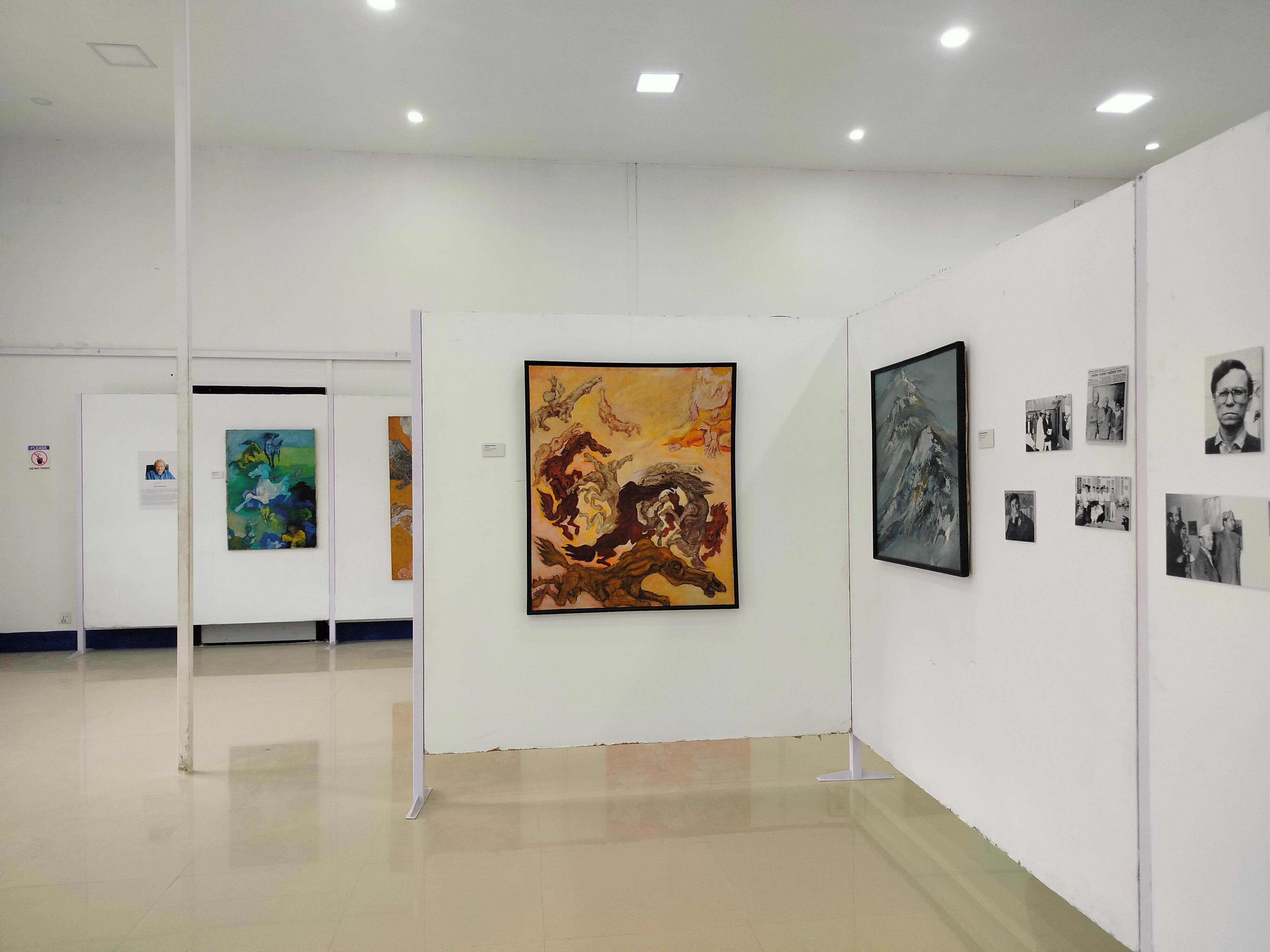 Painting exhibition, Antarsambandha  by SKIB-71 at NAFA, Naxal.