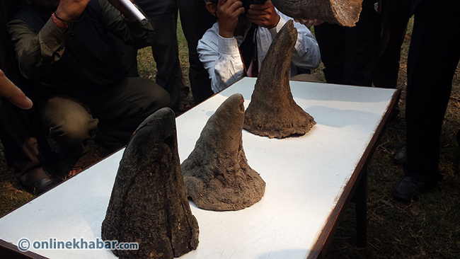 4 arrested in possession of rhino horns