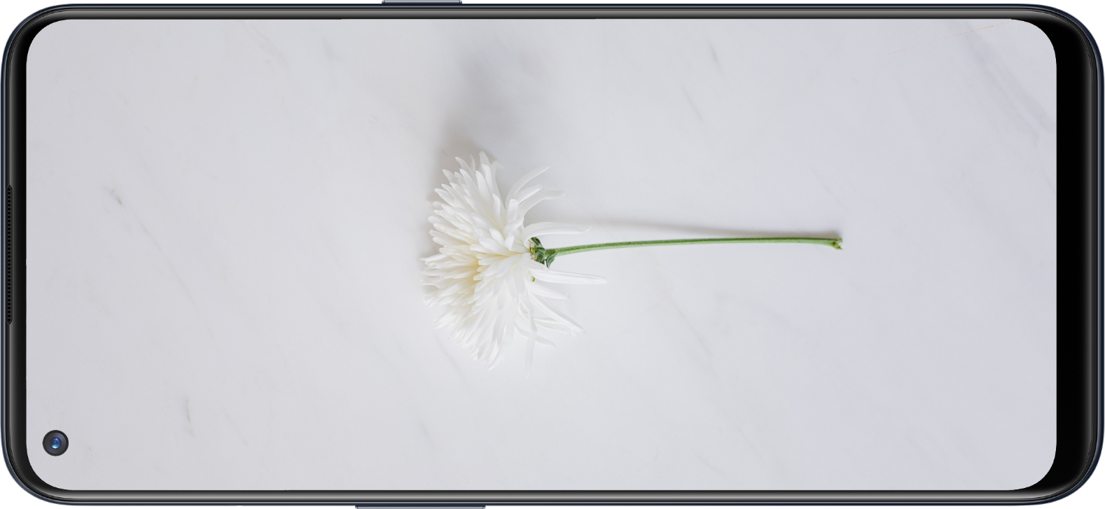 OnePlus Nord N200 5G display. Photo: OnePlus