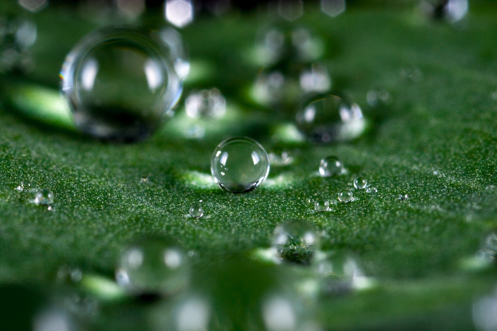 Formes De Photographie Macrophotographie_ Photo Pexels Egor Kamelev