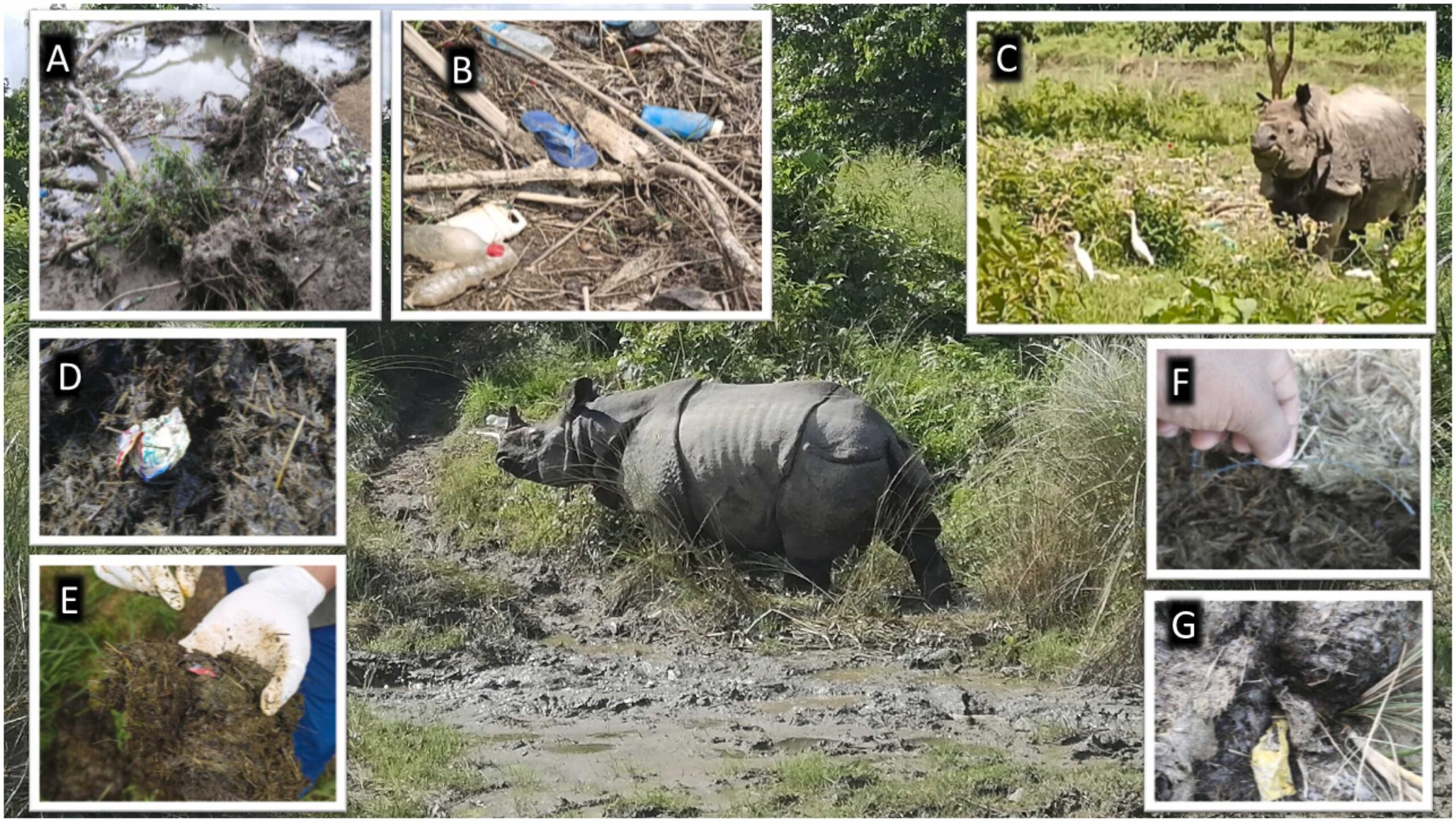 Plastic waste Nepal
