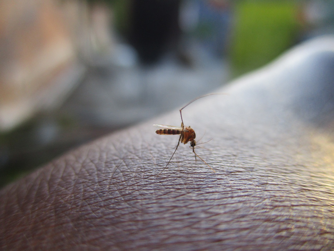 Dengue in Nepal: Public health authorities on high alert infections cross 5,500