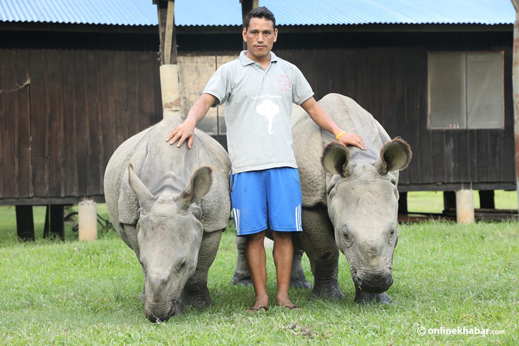 Pushpa and Anjali - rhinos - koshi tappu