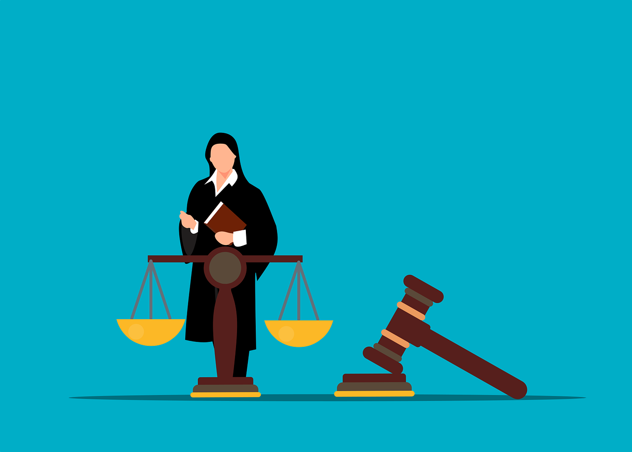 Public interest litigation vs Publicity interest litigation