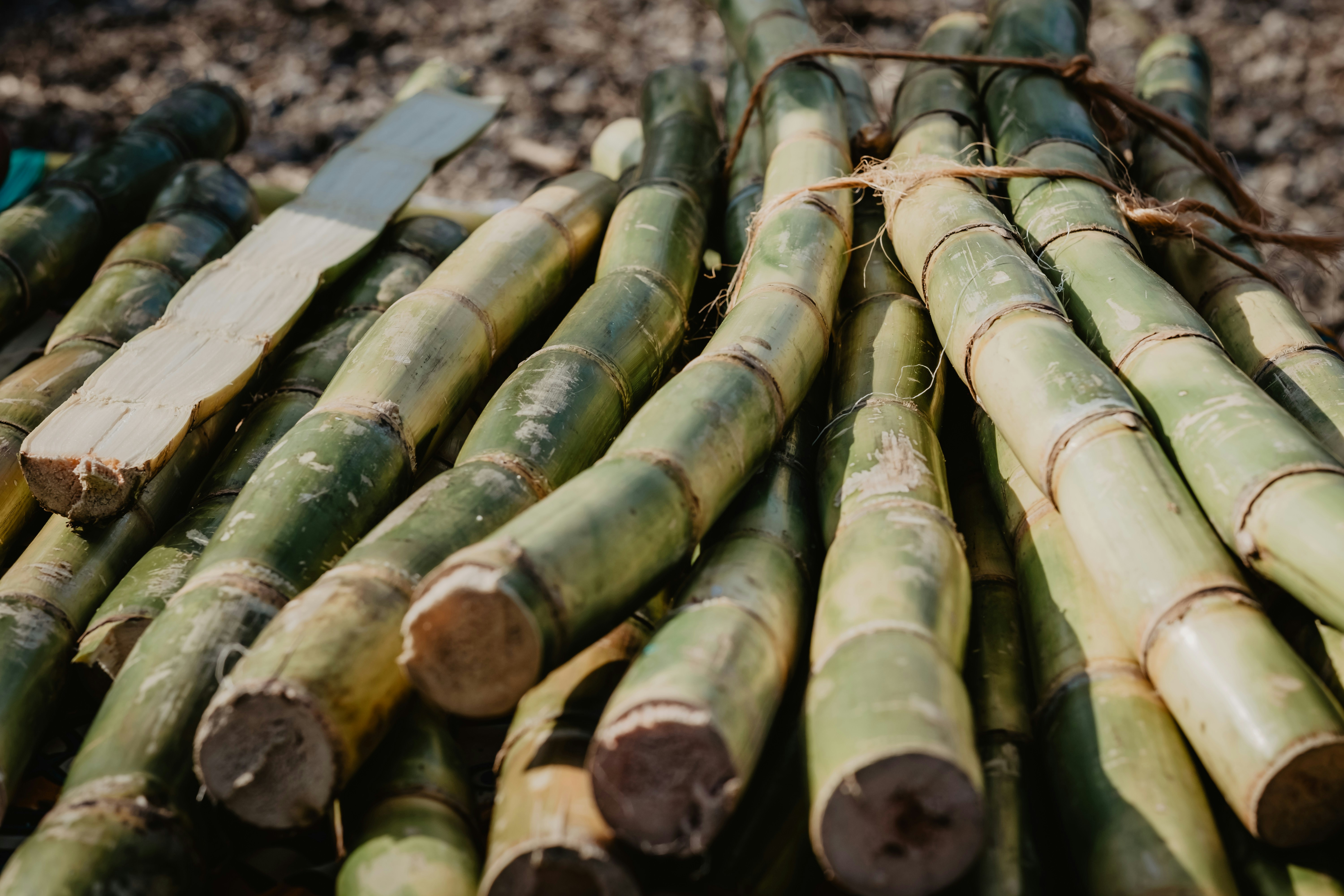 Sugar industries facing sugarcane shortage