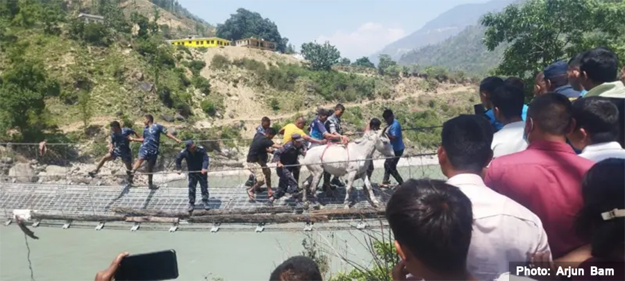 Two police officers awarded for rescuing mules trapped on suspension bridge