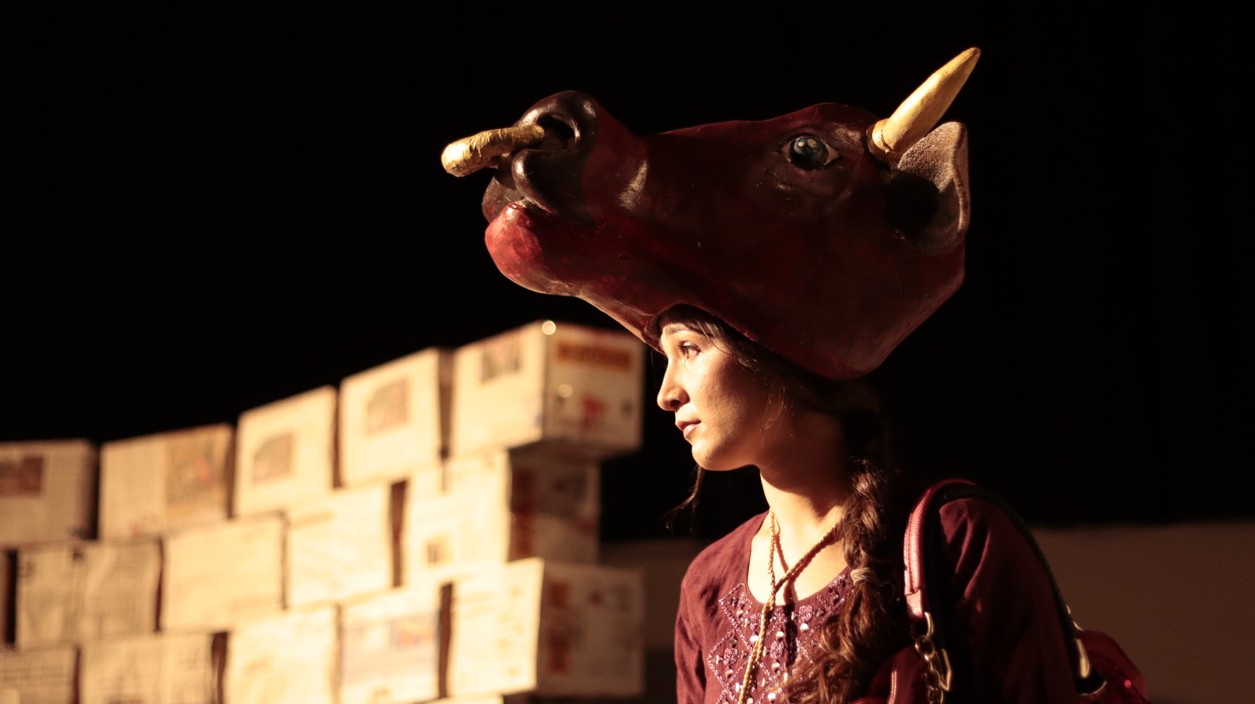 Chaos and comedy steal the show inside the world of Bayupankhi Buffalo