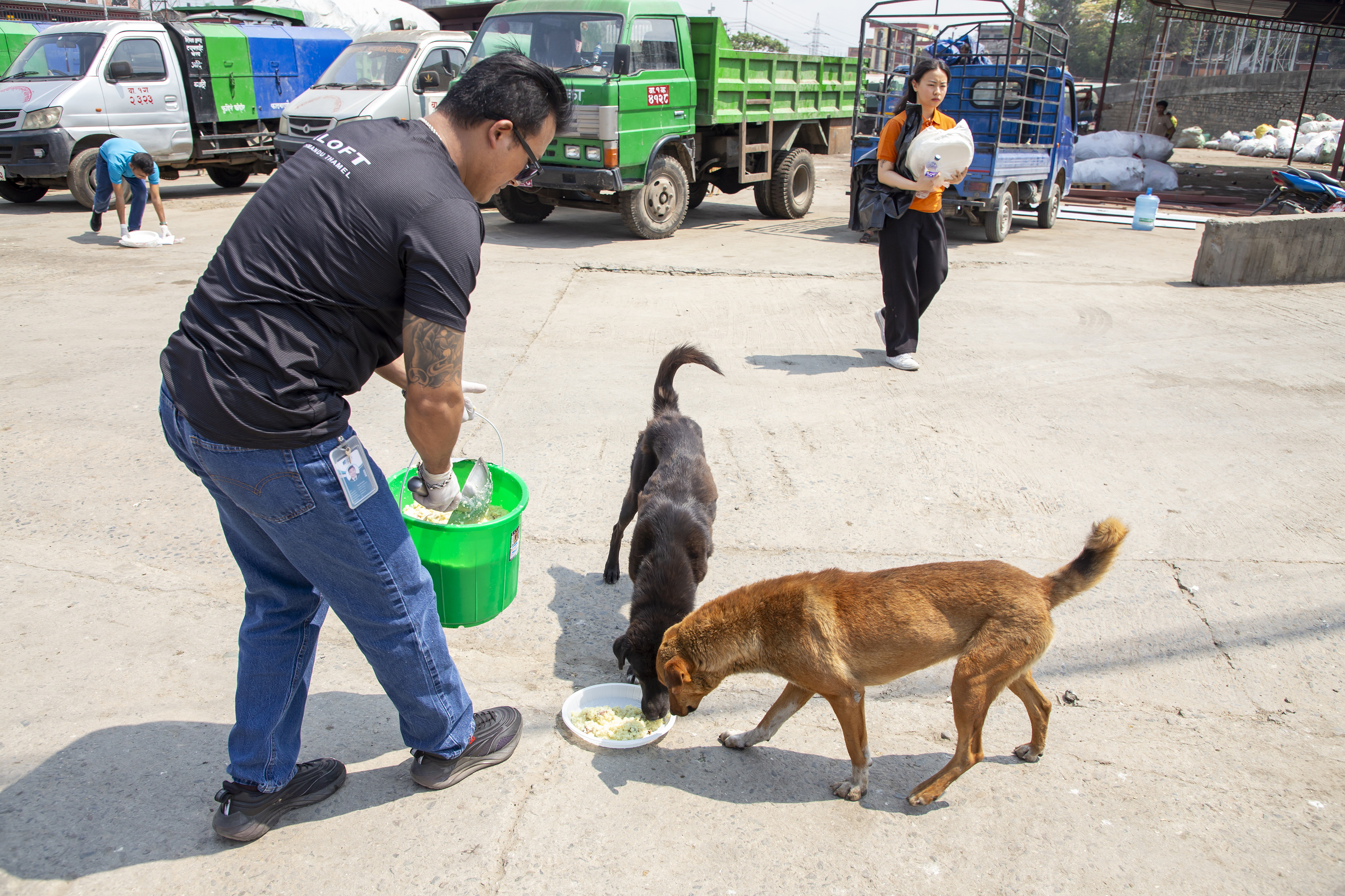 Aloft Kathmandu Thamel initiates street dog feeding initiative 