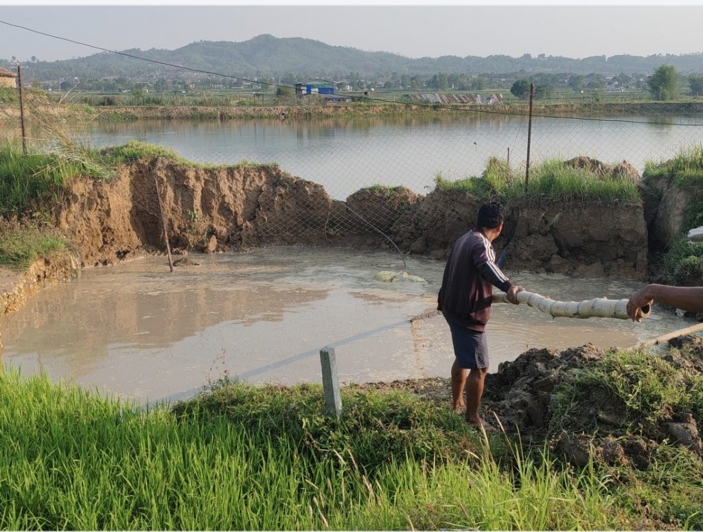 Pickup truck disappears into ground in Hetauda—at site where oxen once vanished