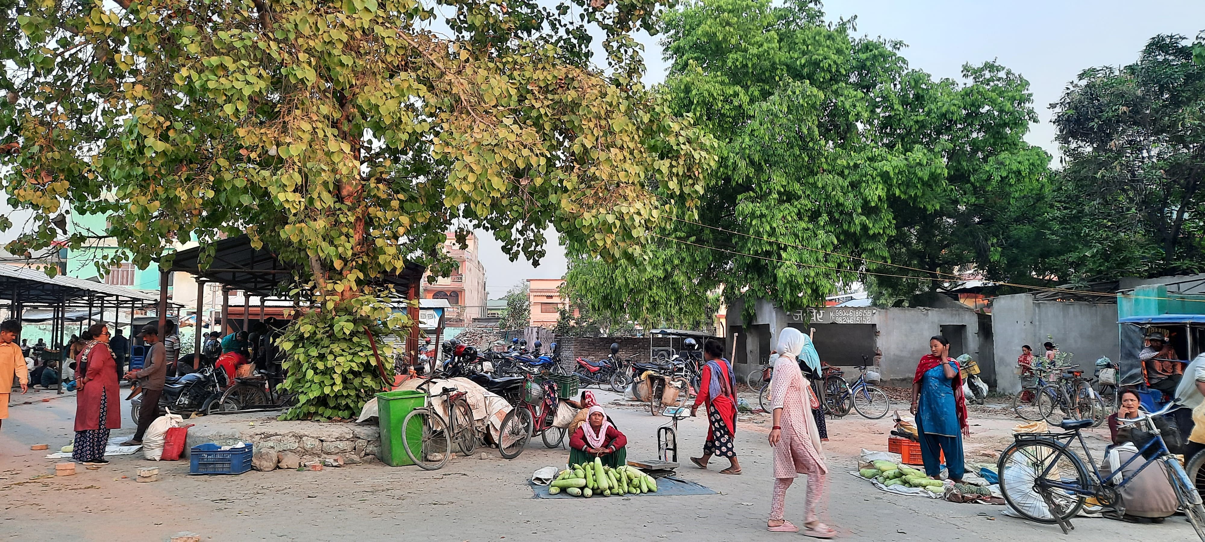 Women engineers reimagining our cities: Inclusive, resilient public open spaces for all