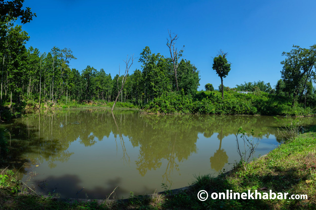 Drought-stricken Madhesh finds hope in conservation ponds (Photos)