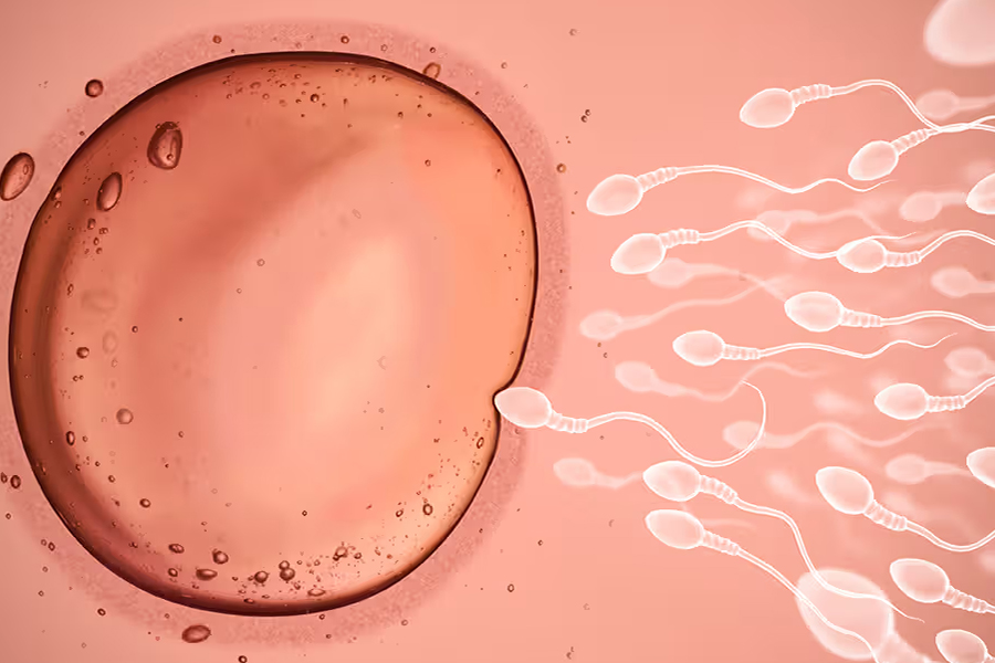 Illegal ovum trade targeting teenage girls under pretext of fertility aid; legal action faces hurdles