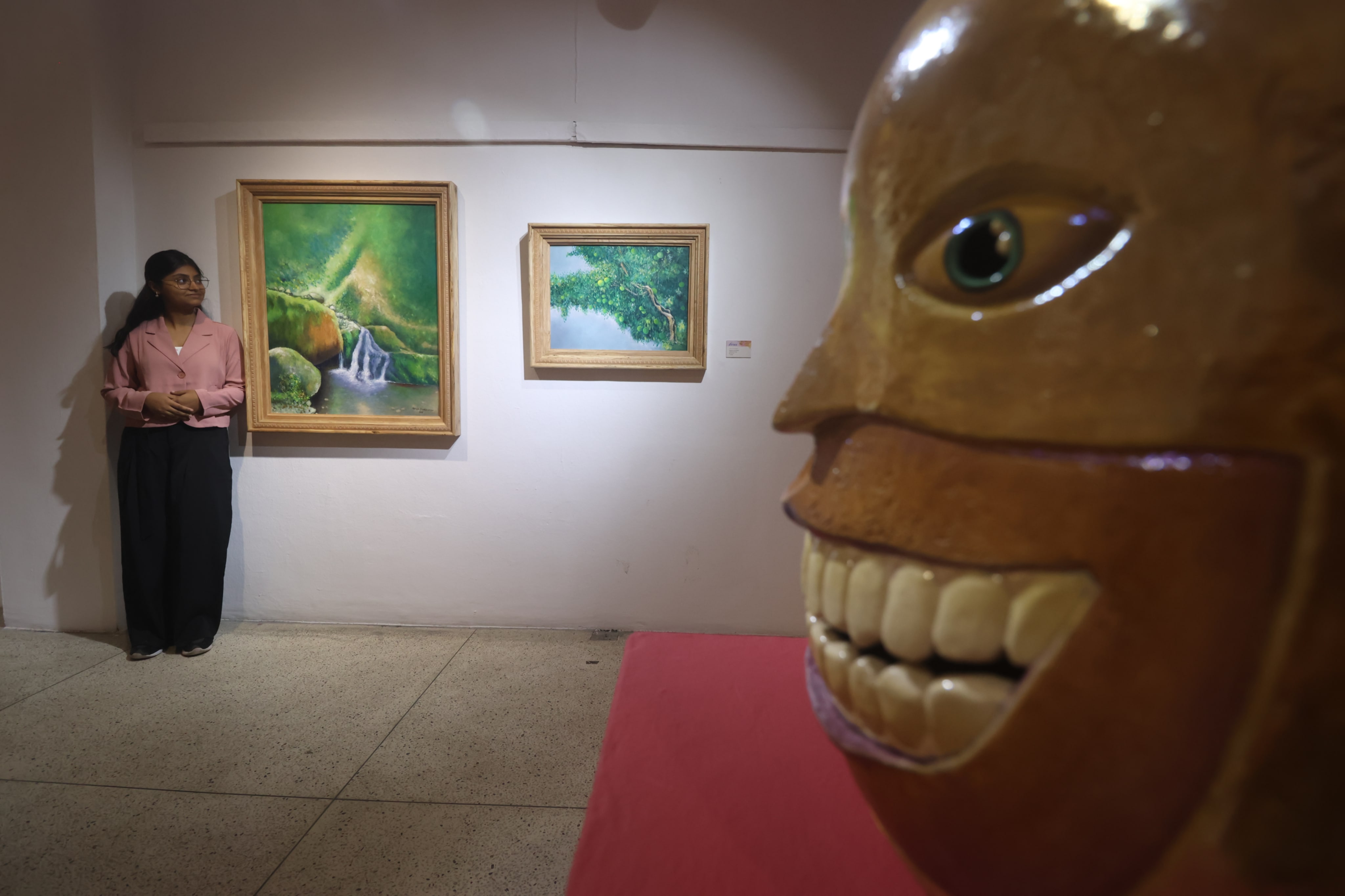 Himalayan Art Festival 2025 showcases creativity, culture, and contemporary voices