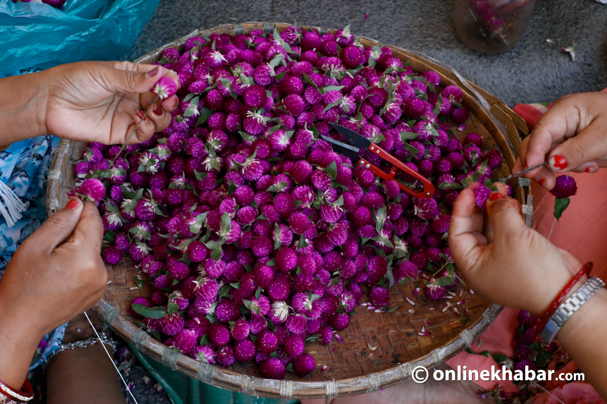 Imported flowers to be restricted in KMC during Tihar festival