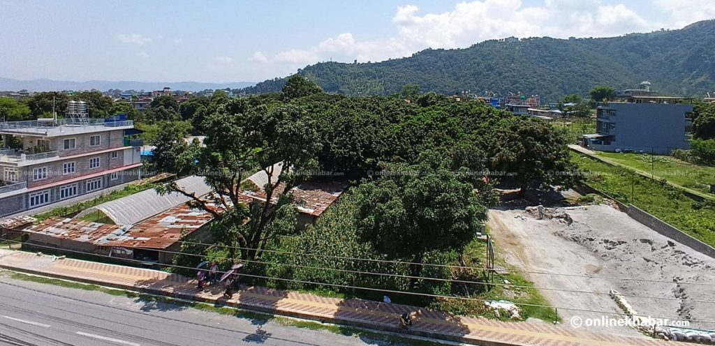 Seven charged in Pokhara Lichhibari land scam involving former ministers and officials