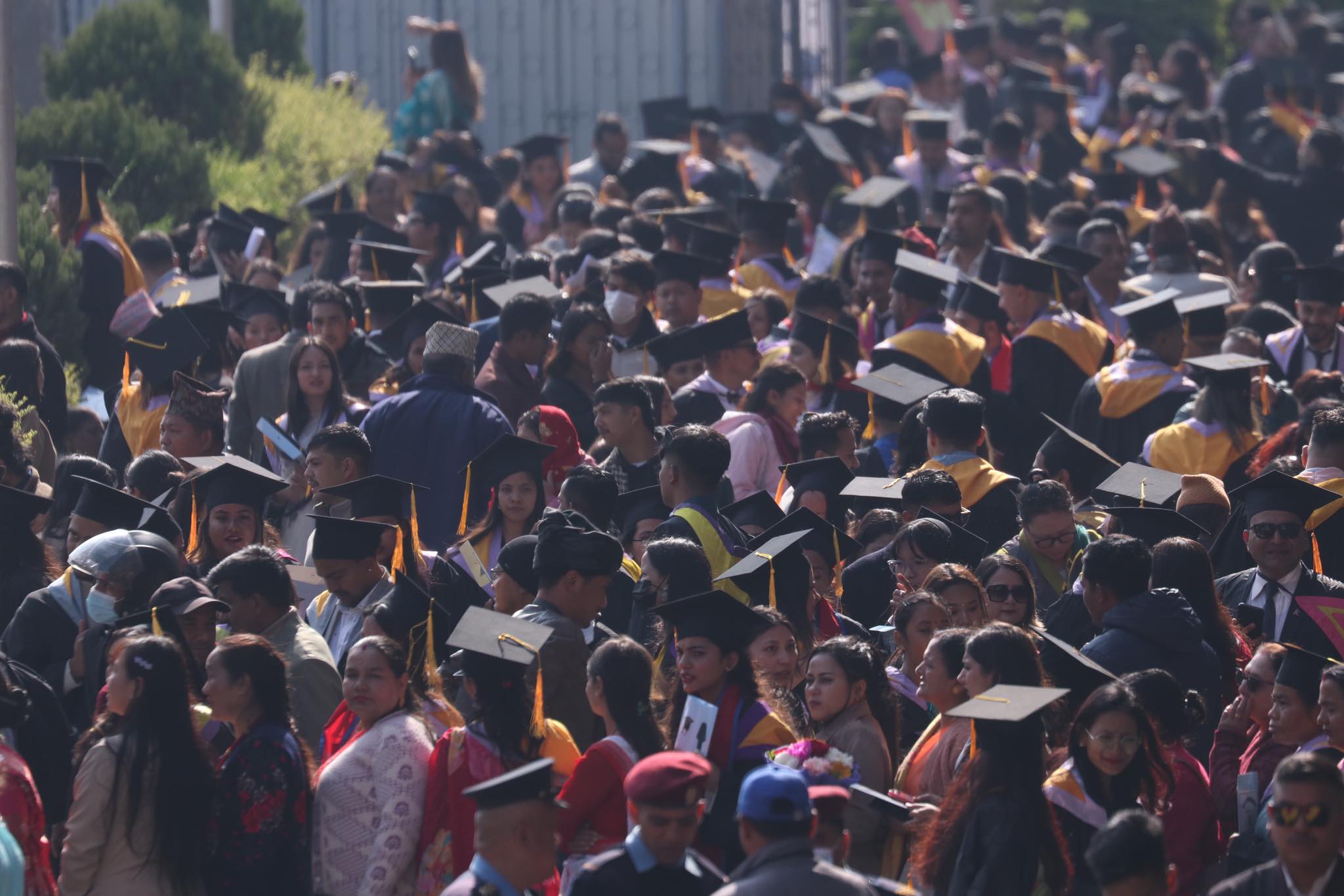 TU holds 51st convocation, over 16,000 graduates awarded degrees (Photos)