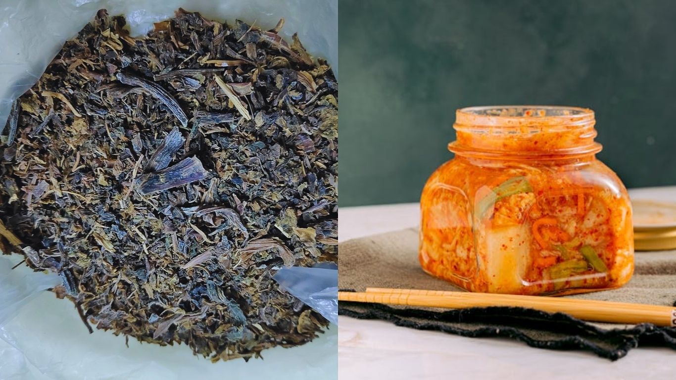 From Gundruk to Kimchi, the microbial symphony behind fermentation