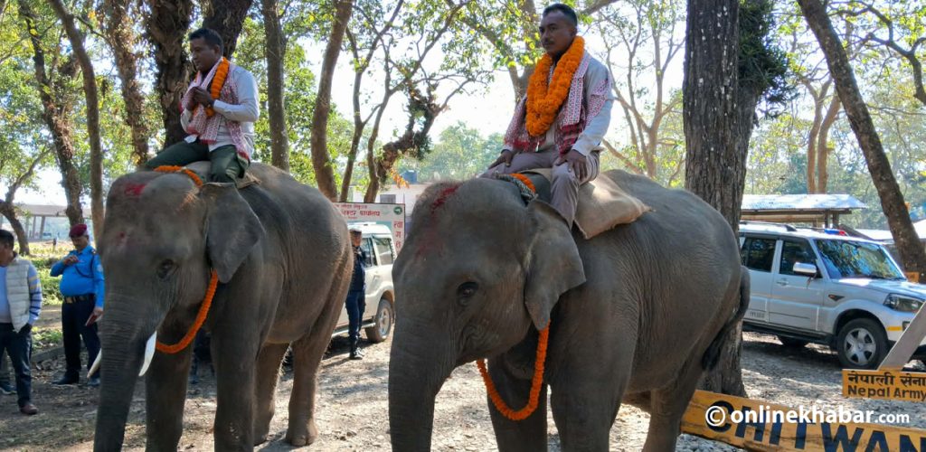 Nepal sending two elephant calves to Qatar on December 17