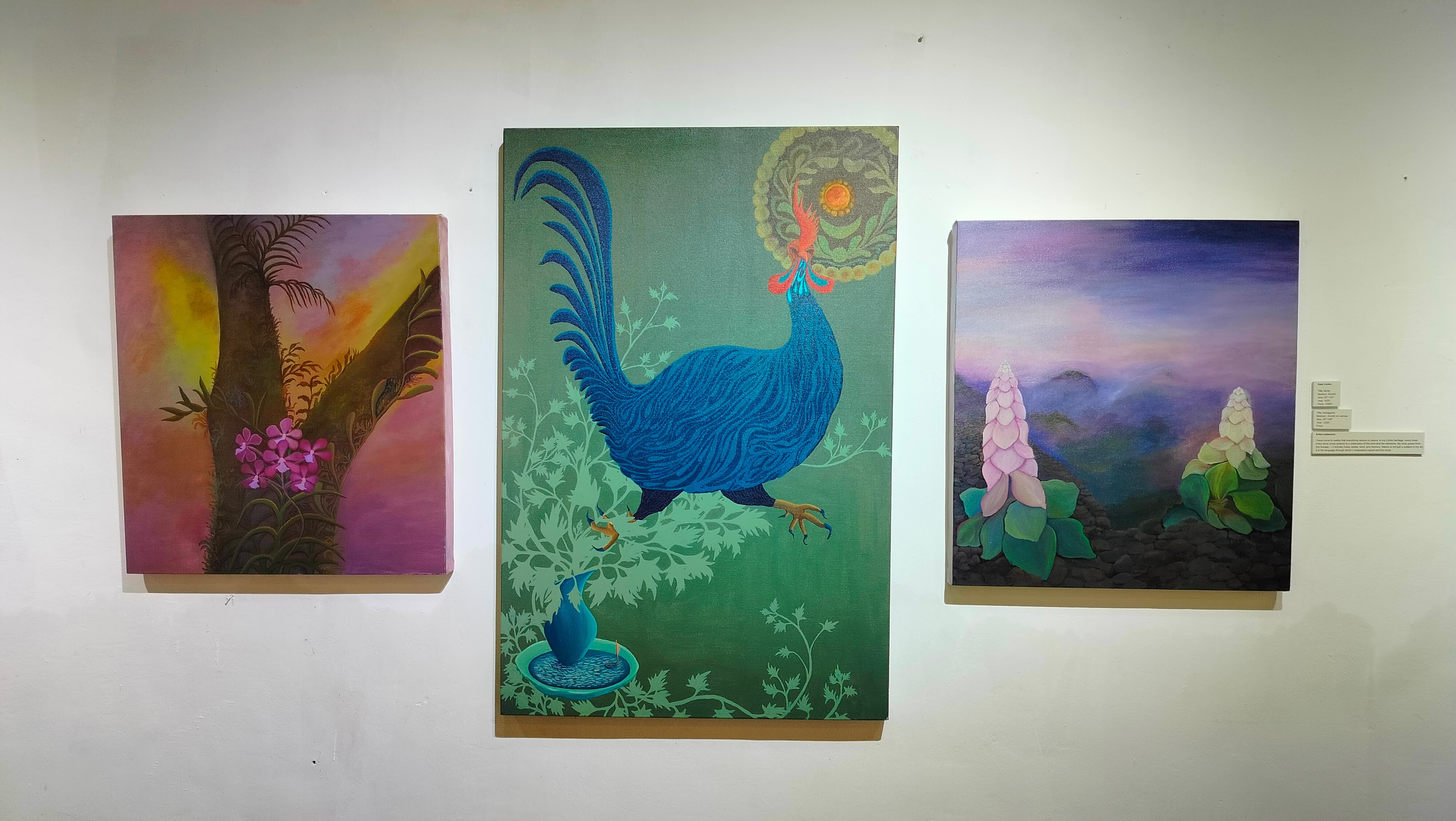 ‘Nyano Chha’ winter exhibition showcases warmth through art