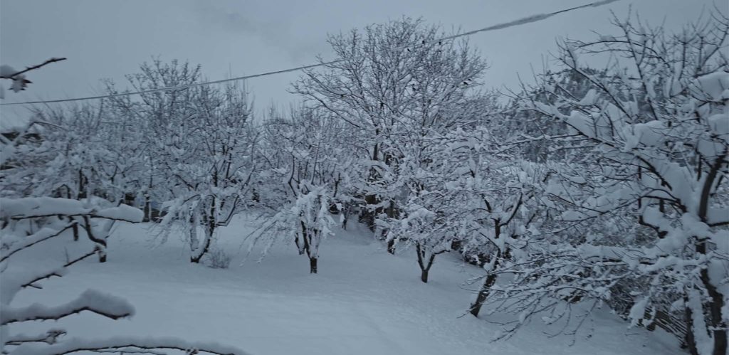 Heavy snowfall brings joy to farmers in Humla