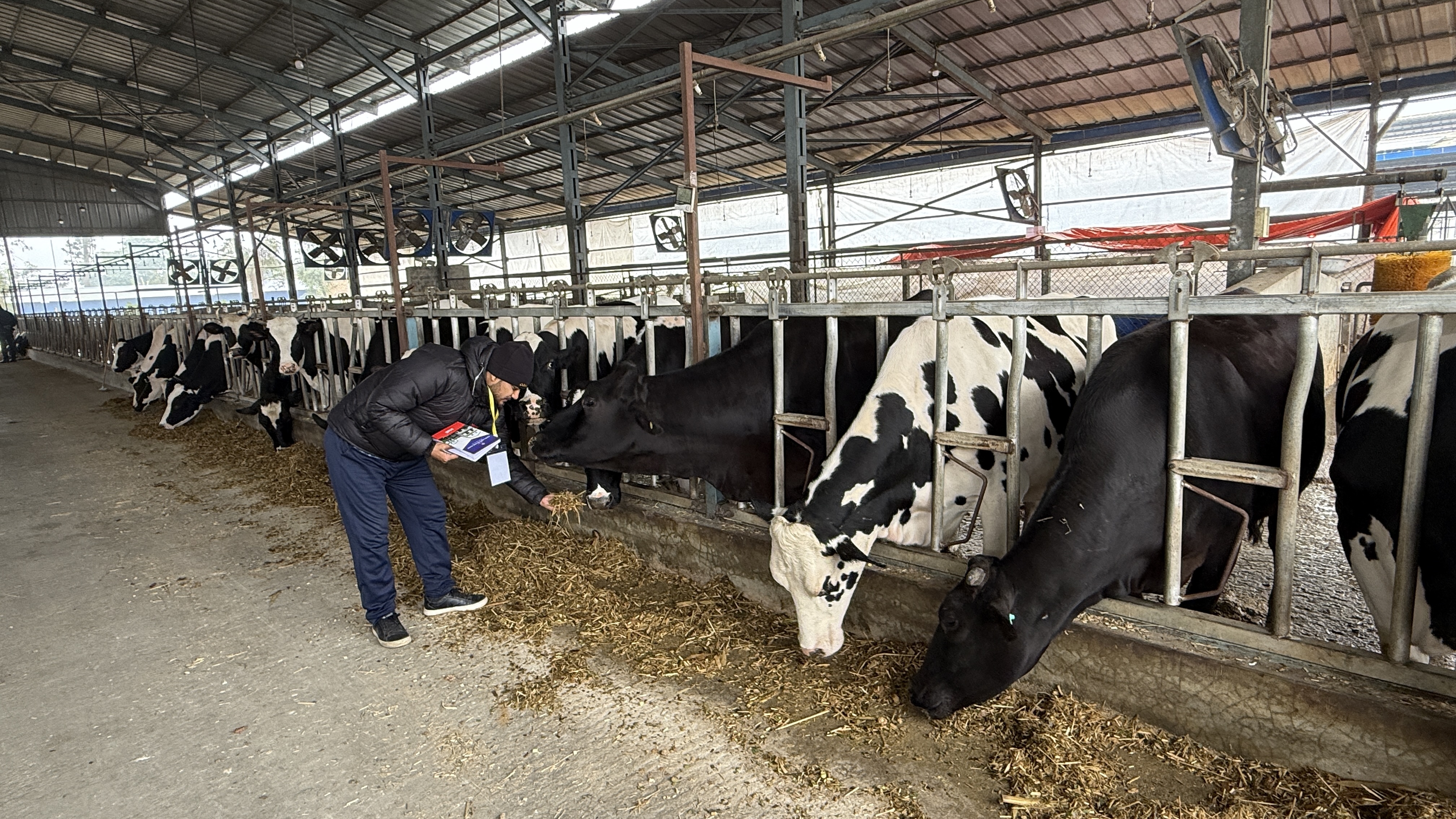 Feed testing: The missing link in ensuring safe milk, meat and chhurpi exports from Nepal