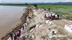 Riverside family in Banke watches land disappear to the Rapti