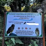 Owl festival in Dang on May 1-2