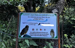 Owl festival in Dang on May 1-2